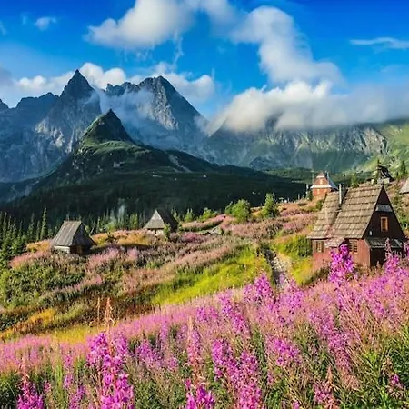 Comfortable With Mountain Views