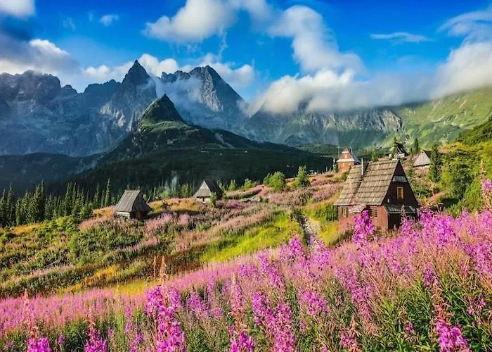 Comfortable With Mountain Views